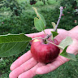 Meet your Posher, Joanna